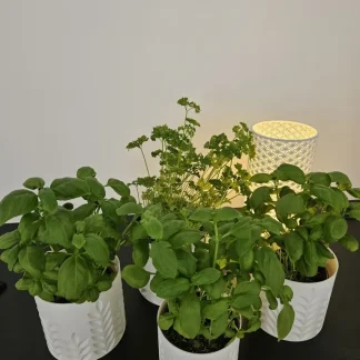 Spoton3D plantenpotten ivoorwit